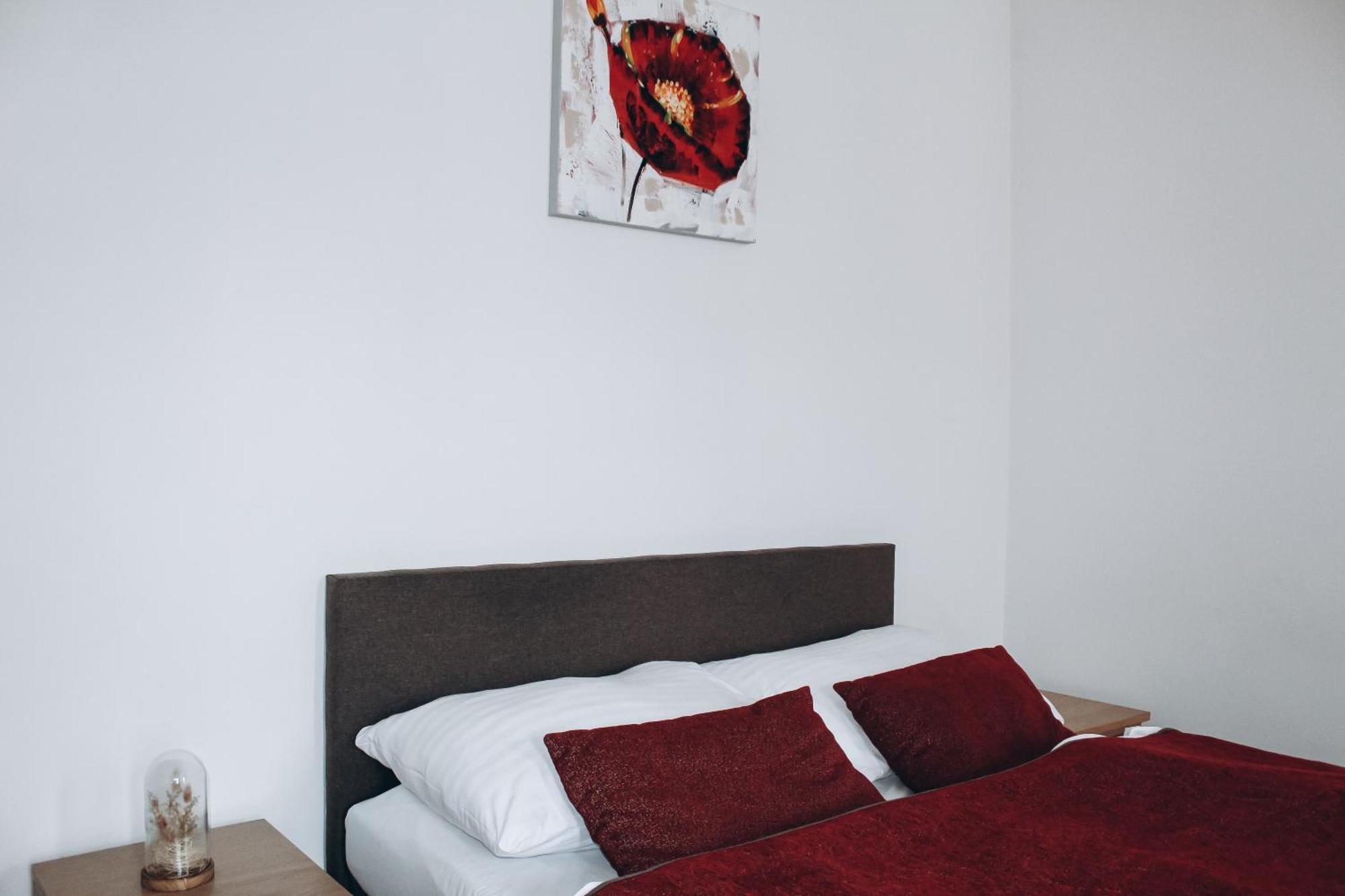 Sokolska Apartamento